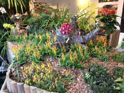 Inside the Gallery, a wonderful display of plants. 